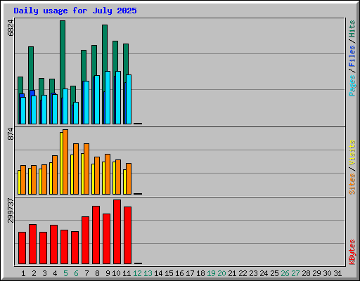 Daily usage for July 2025