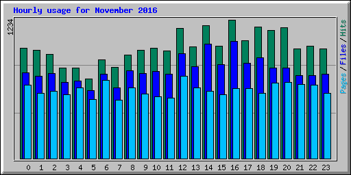 Hourly usage for November 2016