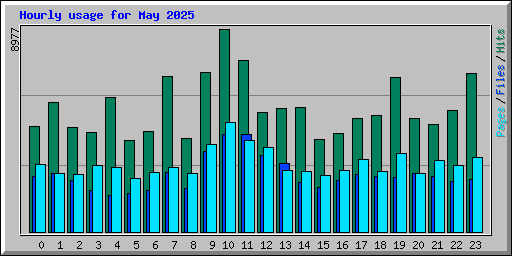 Hourly usage for May 2025