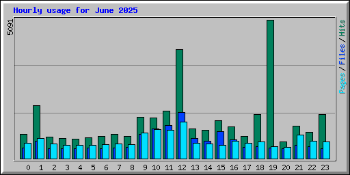 Hourly usage for June 2025