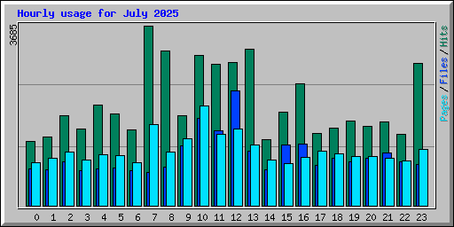 Hourly usage for July 2025