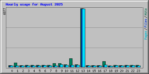 Hourly usage for August 2025
