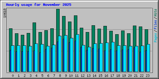 Hourly usage for November 2025