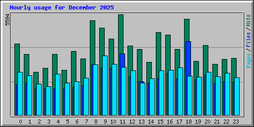 Hourly usage for December 2025