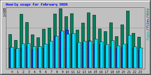 Hourly usage for February 2026