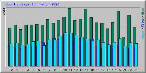 Hourly usage for March 2026
